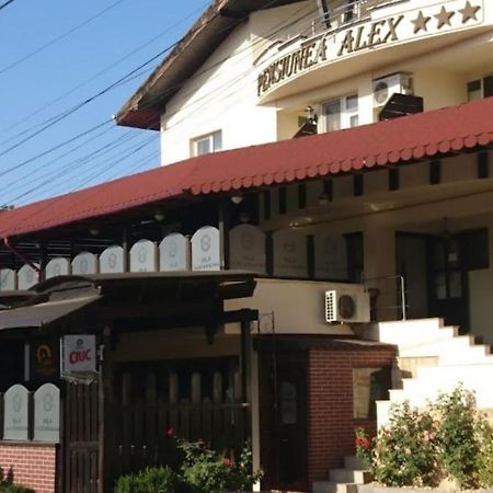 Vila Alex&Razvan Tulcea Bagian luar foto